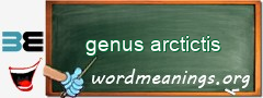 WordMeaning blackboard for genus arctictis